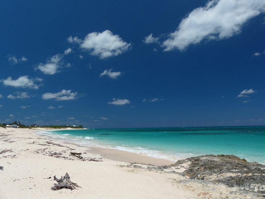 Click to See Next Image