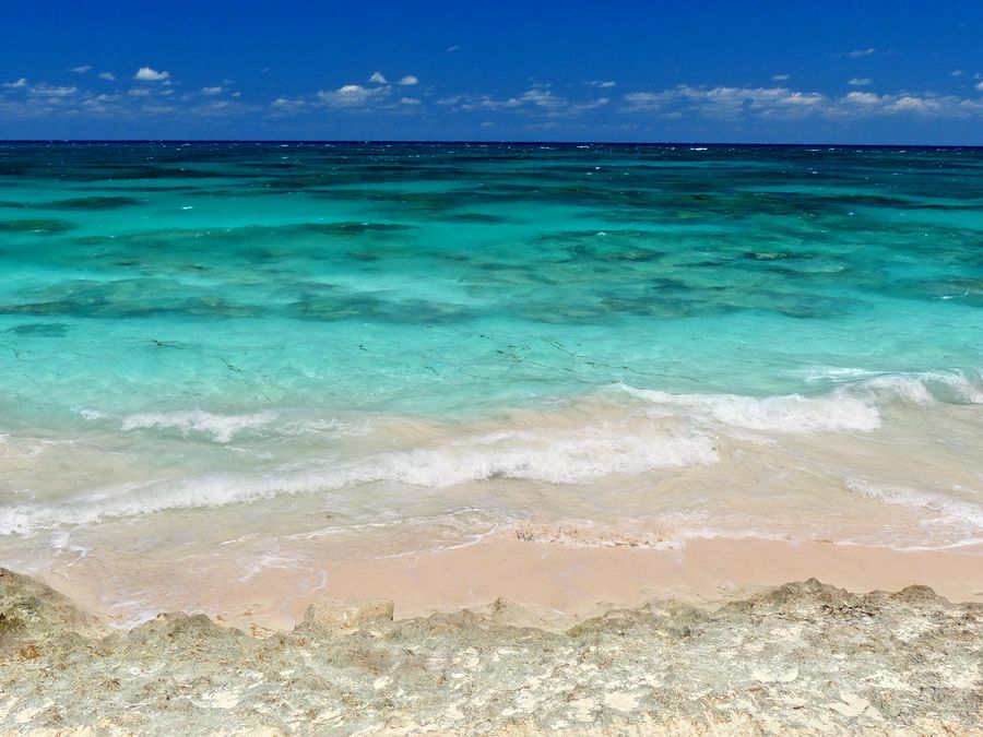 Click to See Next Image