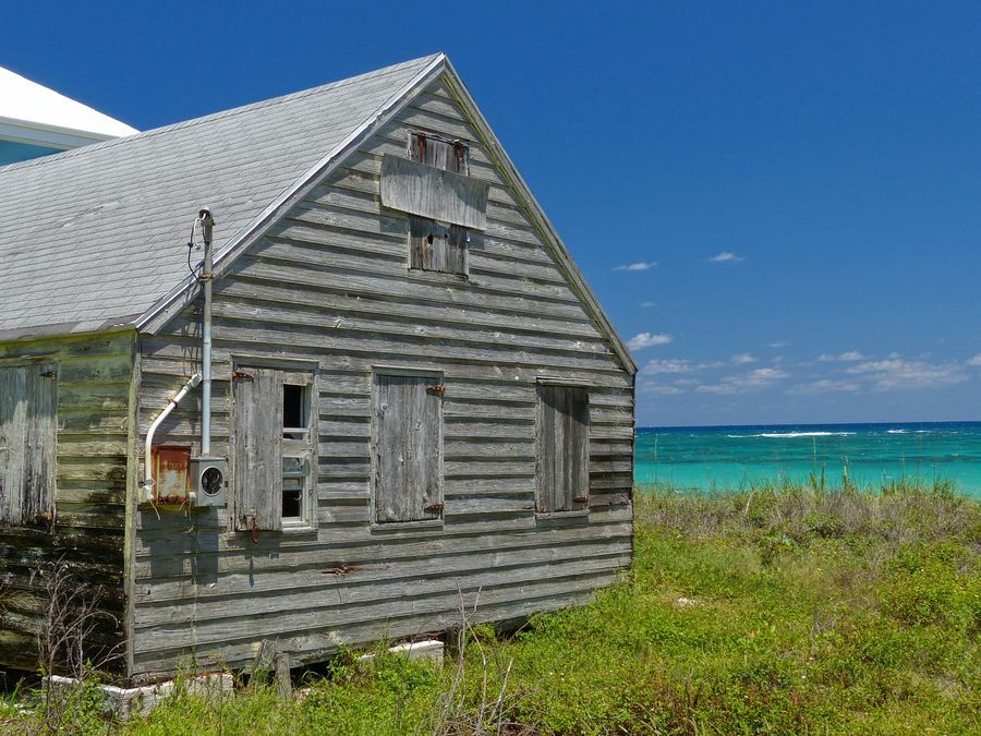 Click to See Next Image