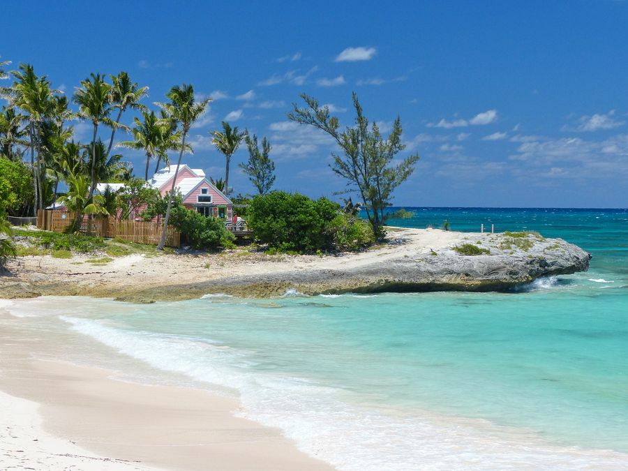 Click to See Next Image