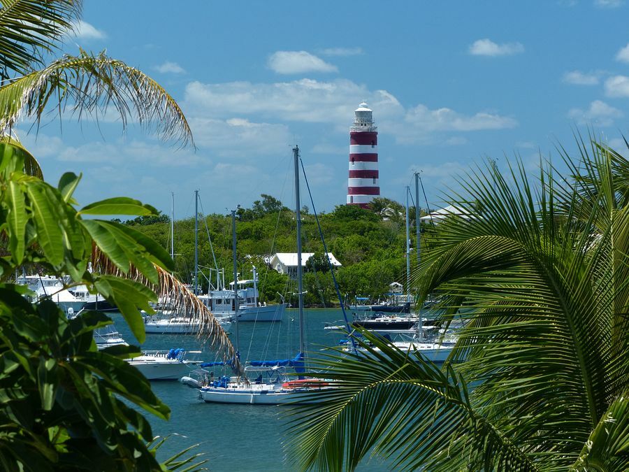 Click to See Next Image