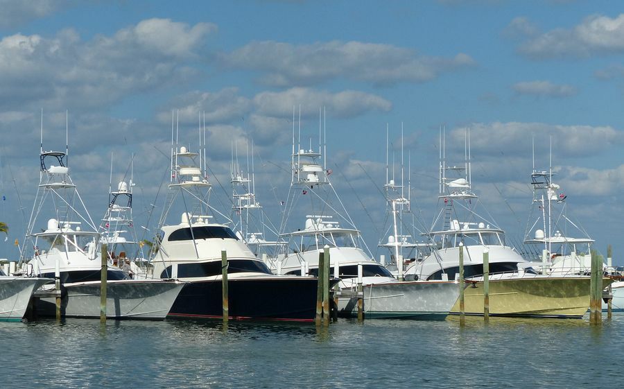 Click to See Next Image