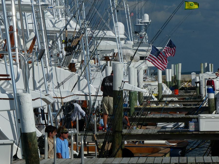 Click to See Next Image