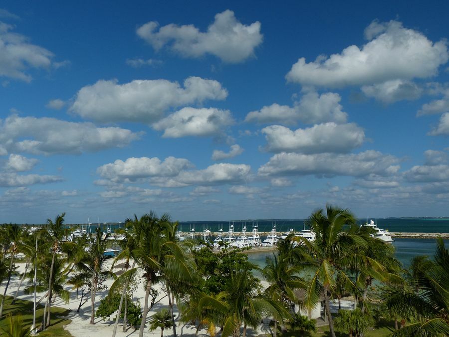 Click to See Next Image