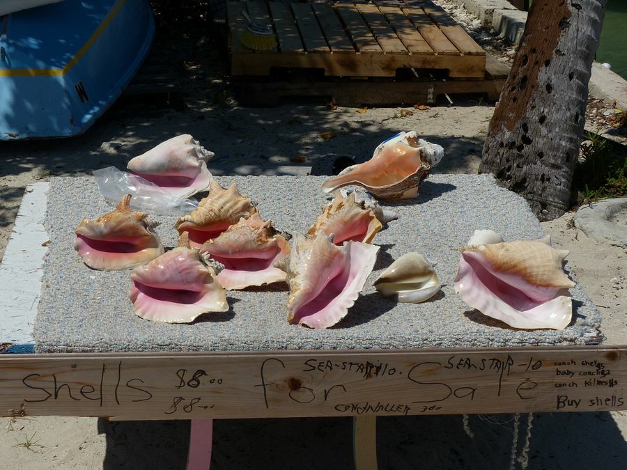 Click to See Next Image