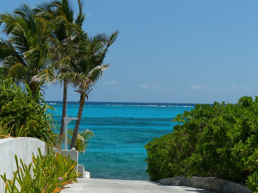 Click to See Next Image