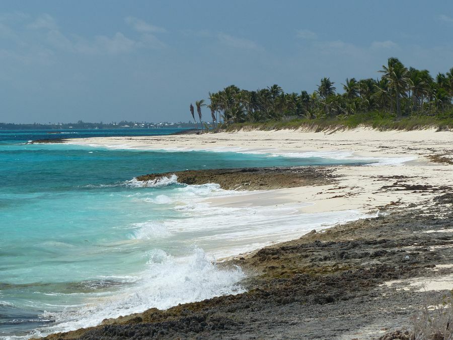 Click to See Next Image