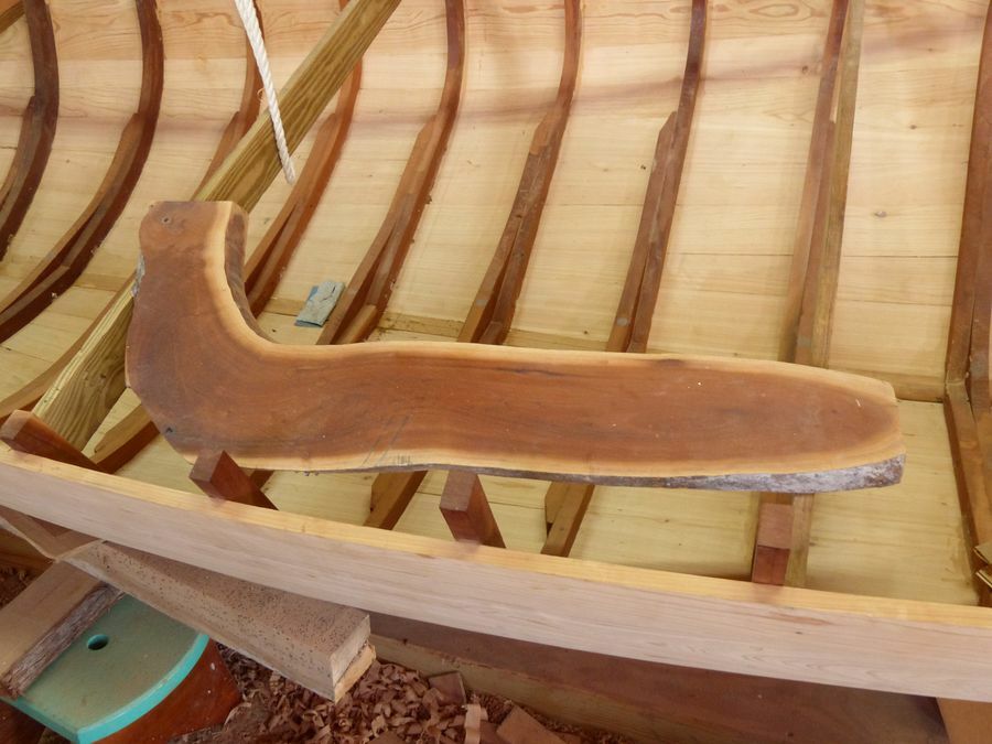 Click to See Next Image