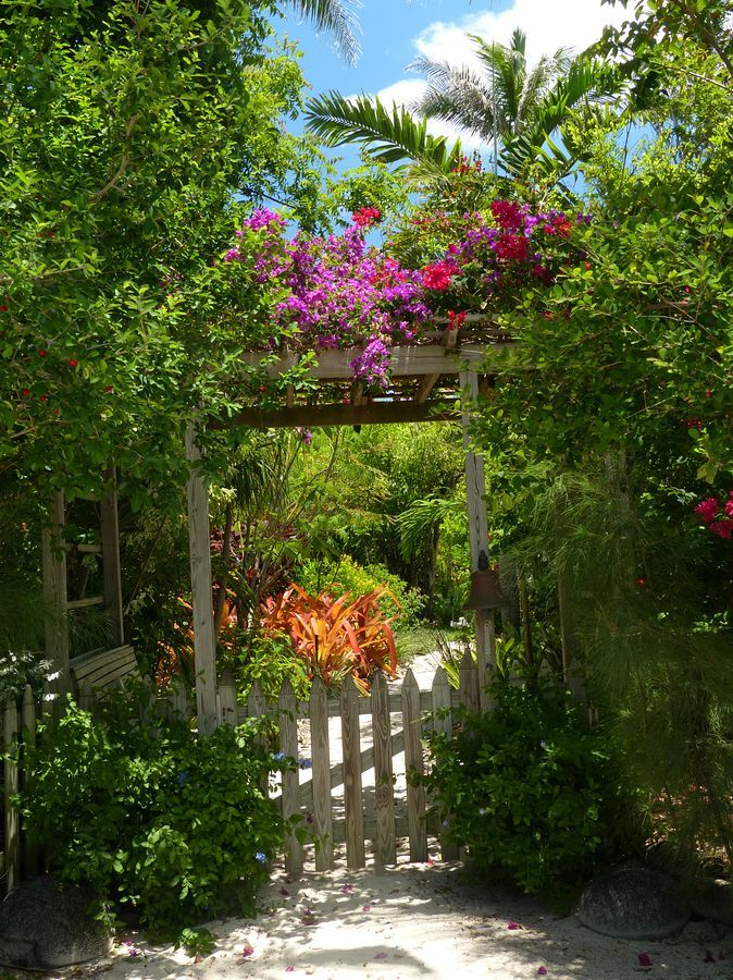 Click to See Next Image