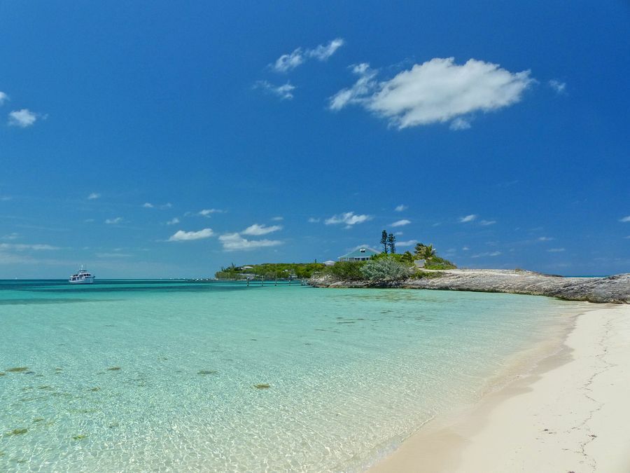 Click to See Next Image