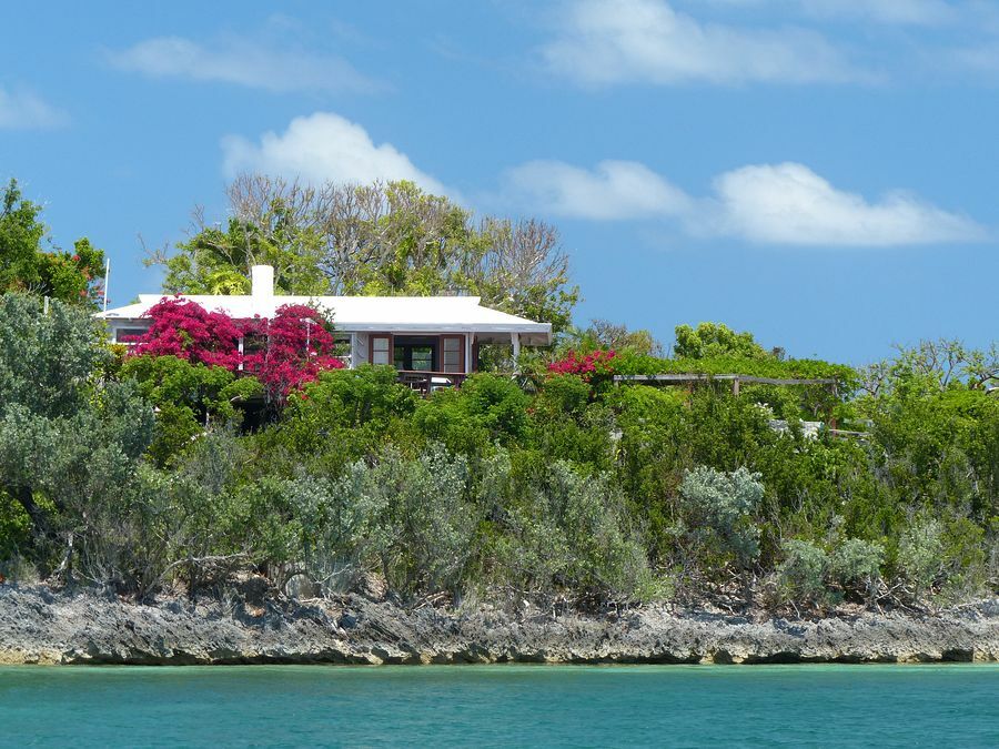 Click to See Next Image