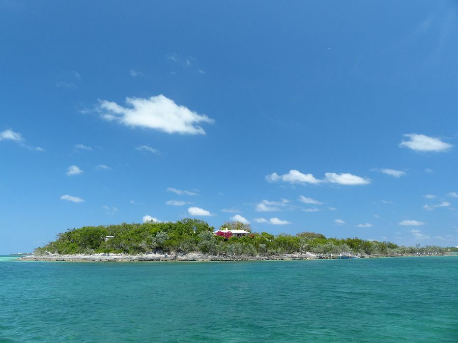 Click to See Next Image