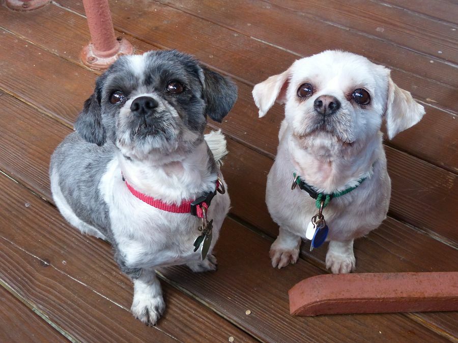 Click to See Next Image