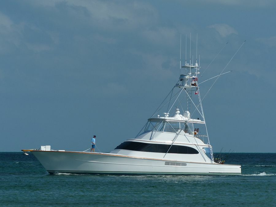 Click to See Next Image