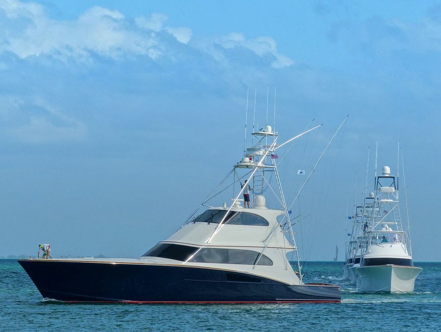 Click to See Next Image