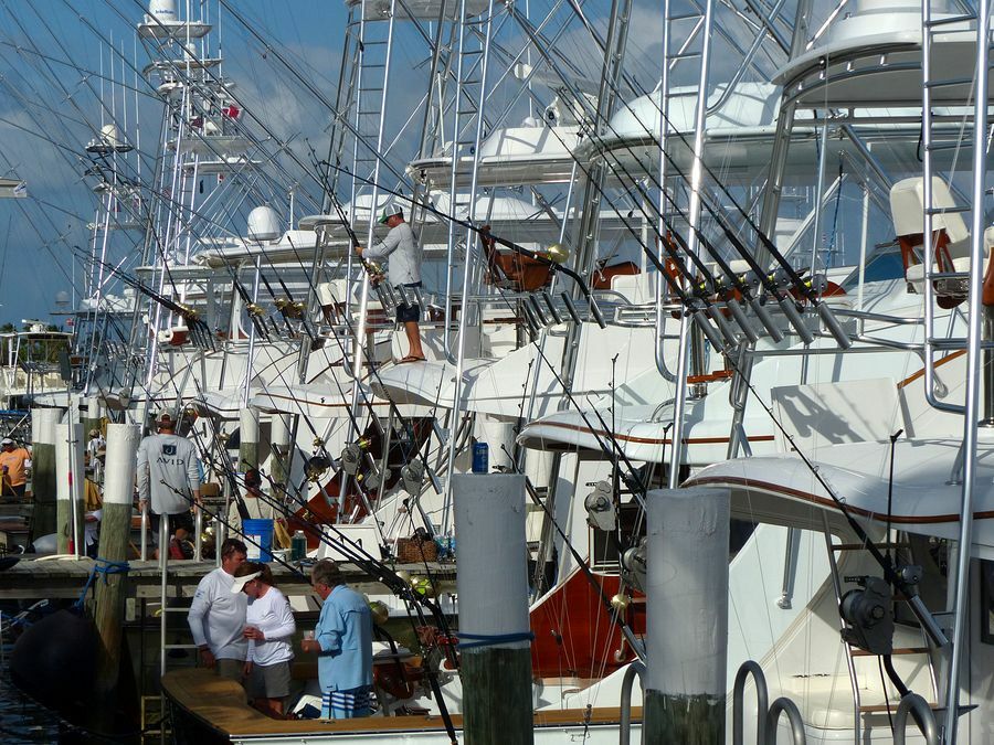 Click to See Next Image