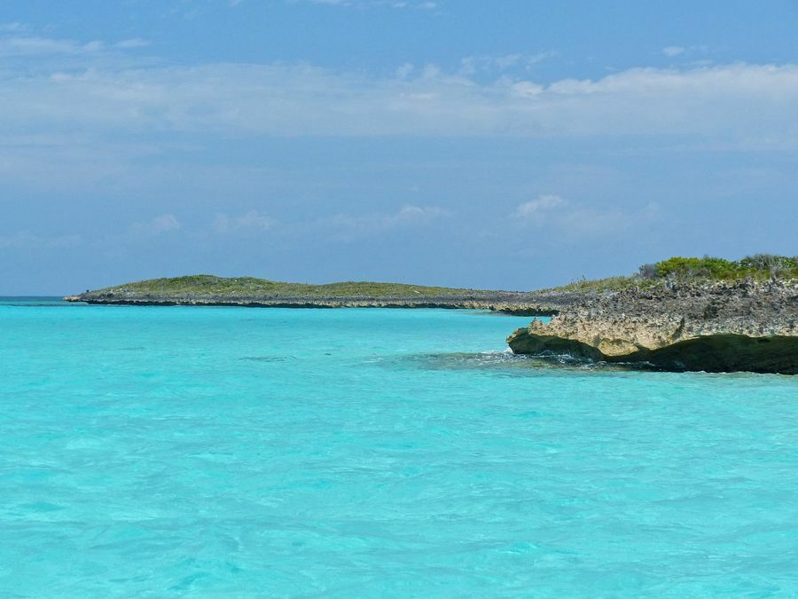 Click to See Next Image