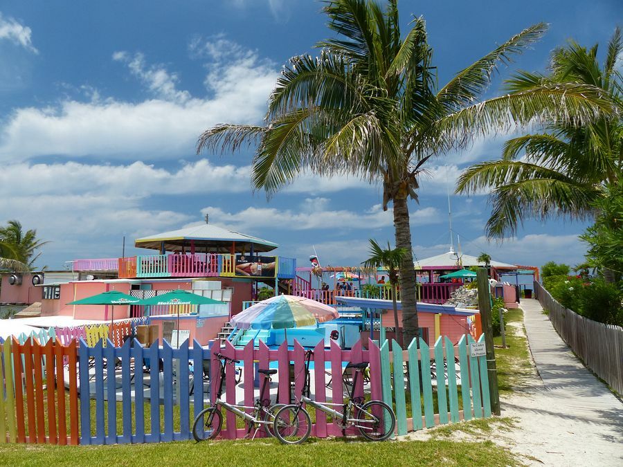 Click to See Next Image