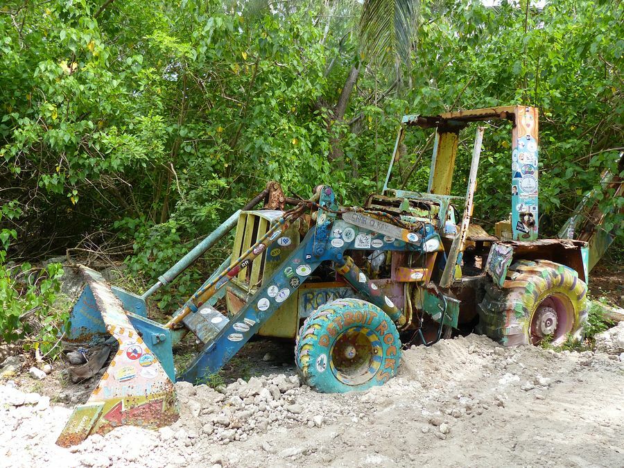 Click to See Next Image