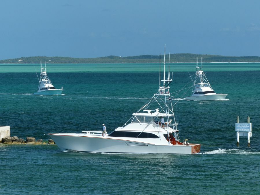 Click to See Next Image