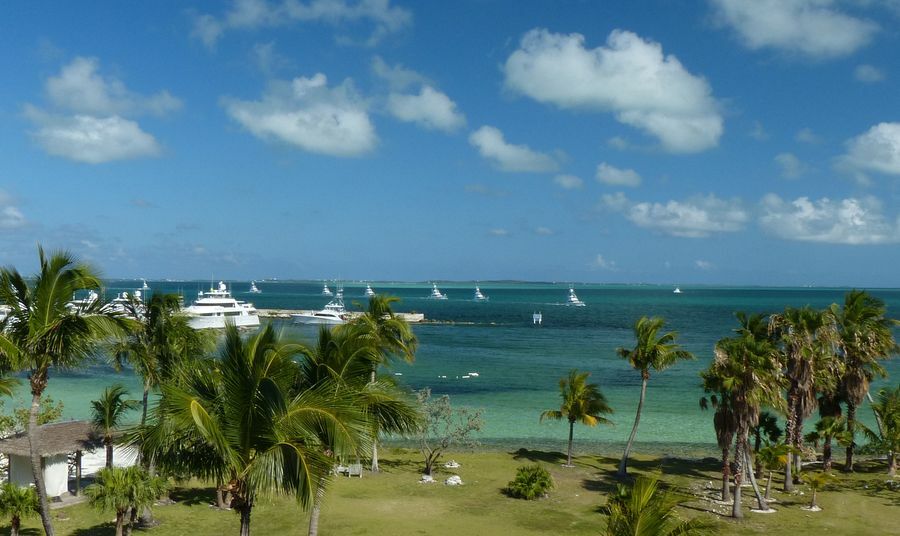 Click to See Next Image