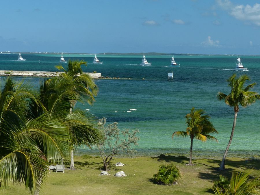 Click to See Next Image