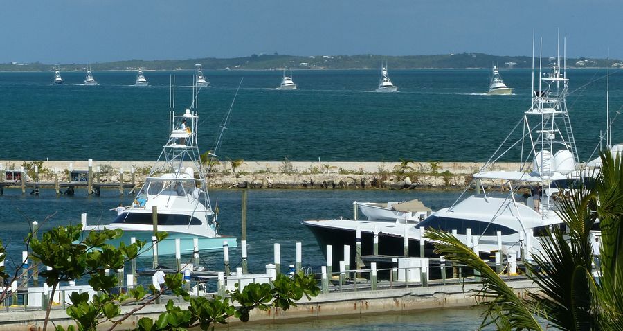 Click to See Next Image