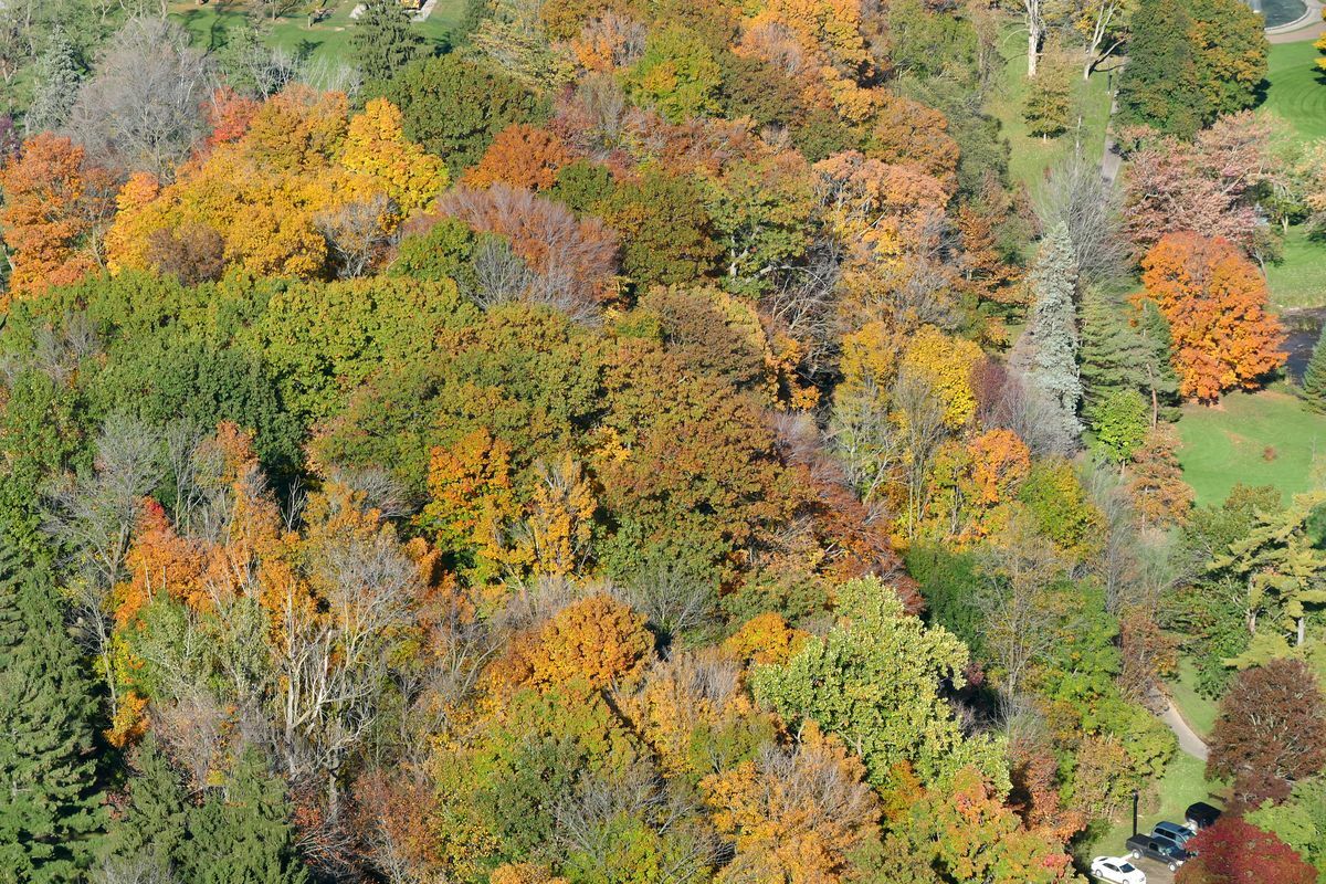 Click to See Next Image