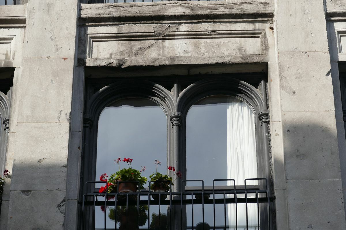 Click to See Next Image