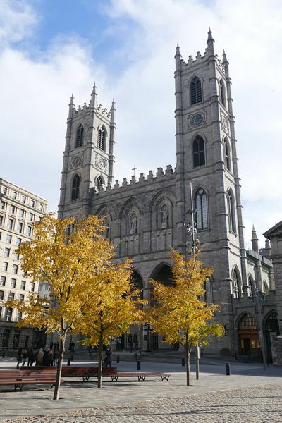 Click to See Next Image