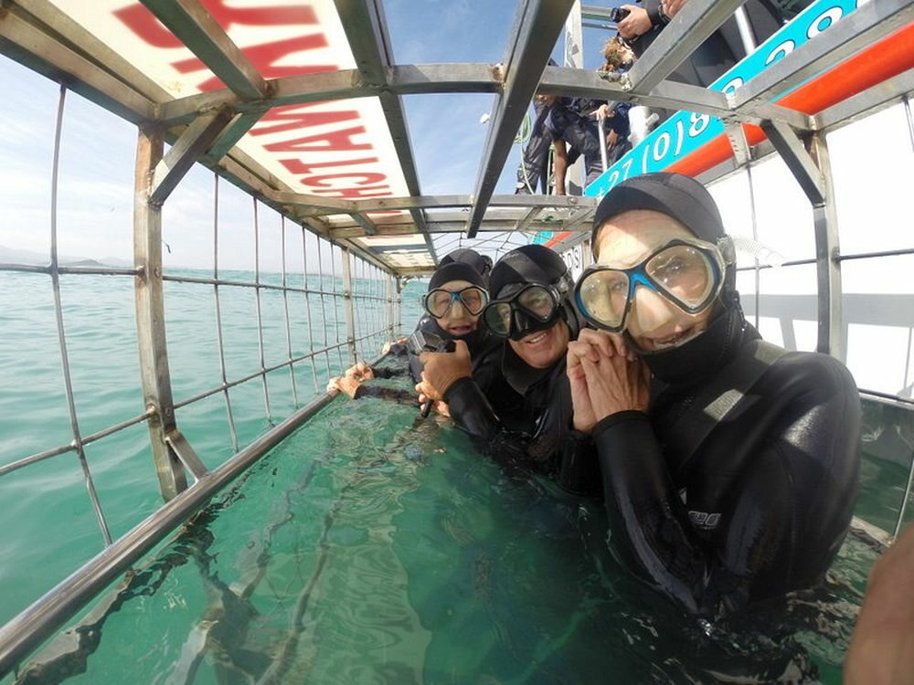 Click to See Next Image