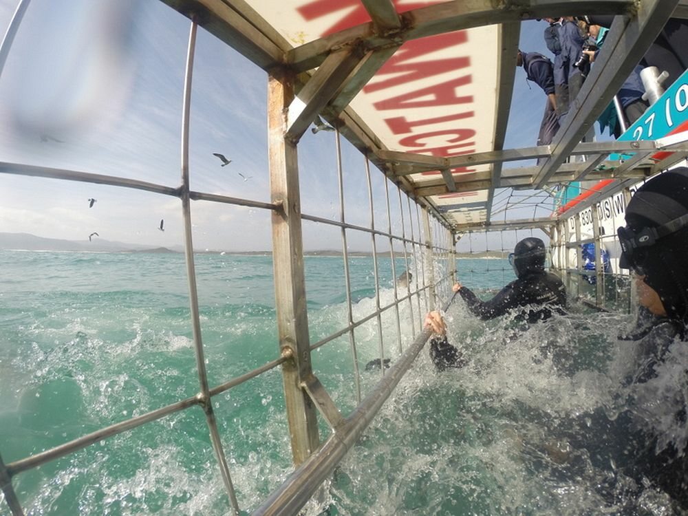 Click to See Next Image