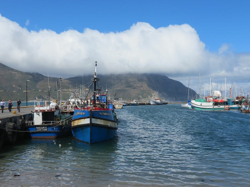 Click to See Next Image