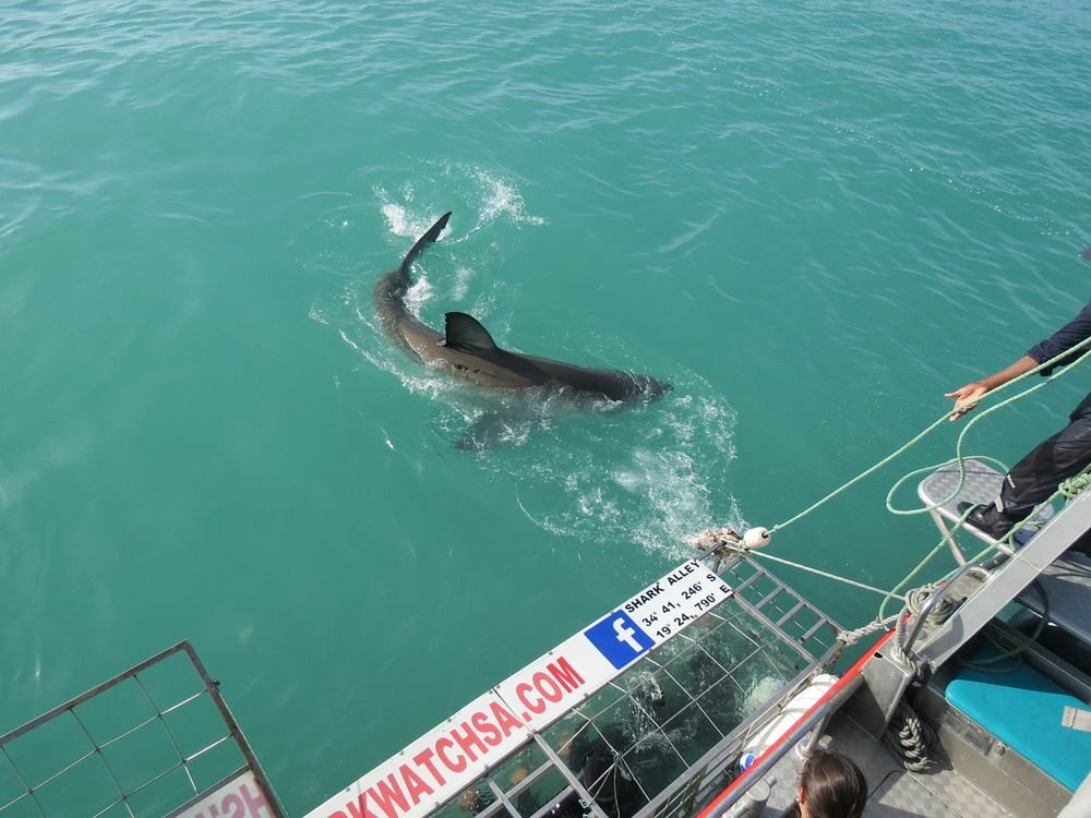 Click to See Next Image