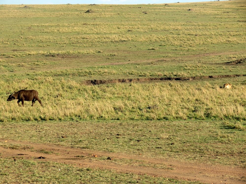 Click to See Next Image