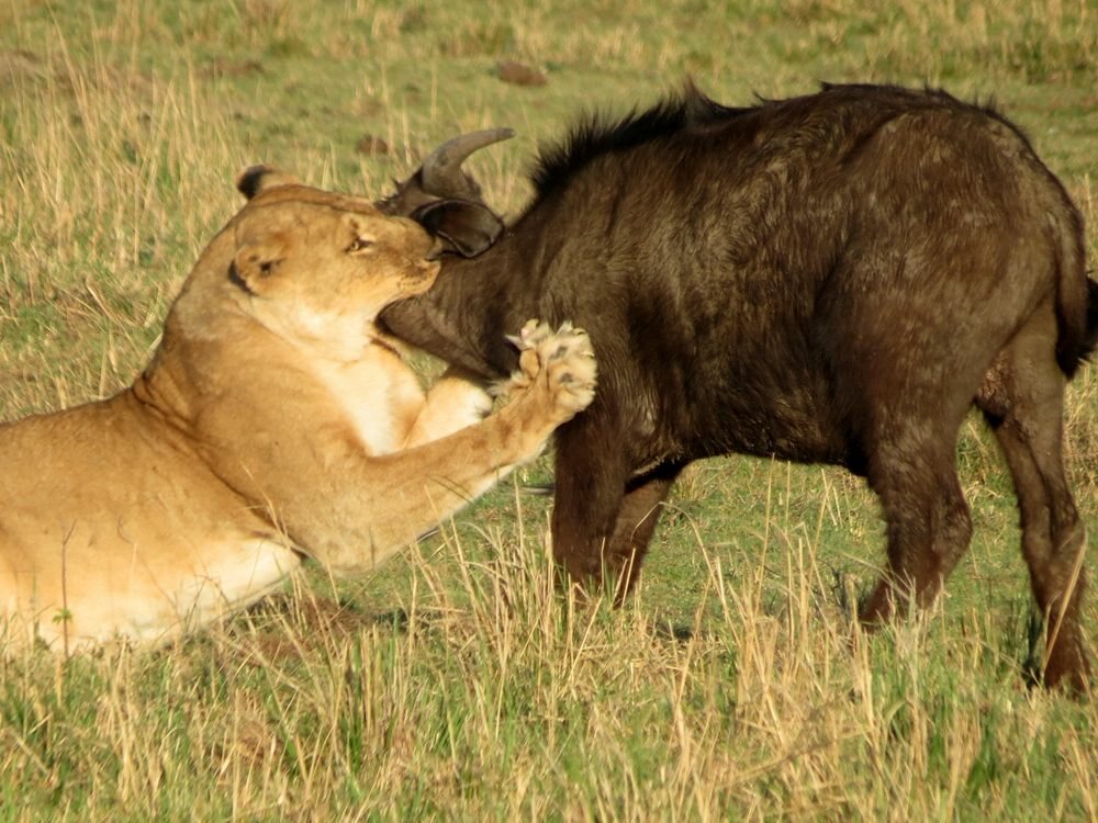 Click to See Next Image