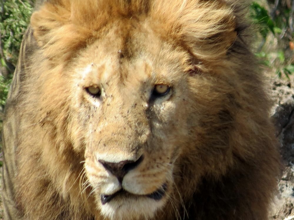 Click to See Next Image