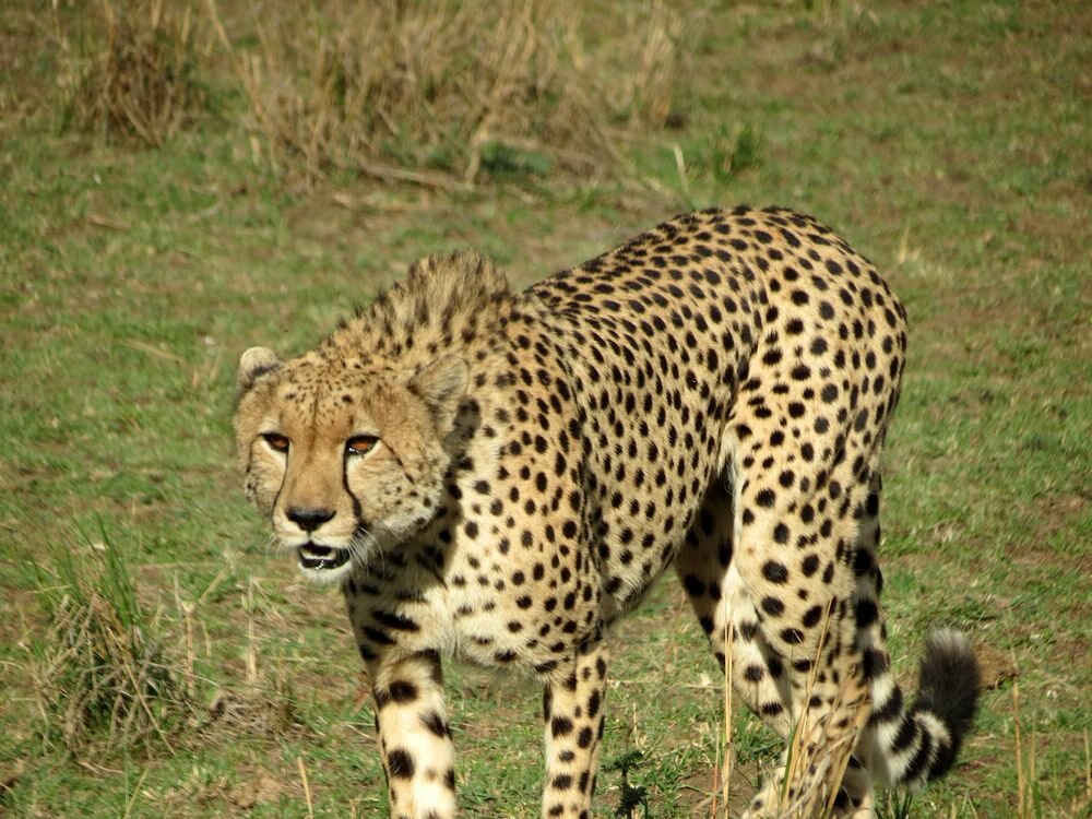 Click to See Next Image