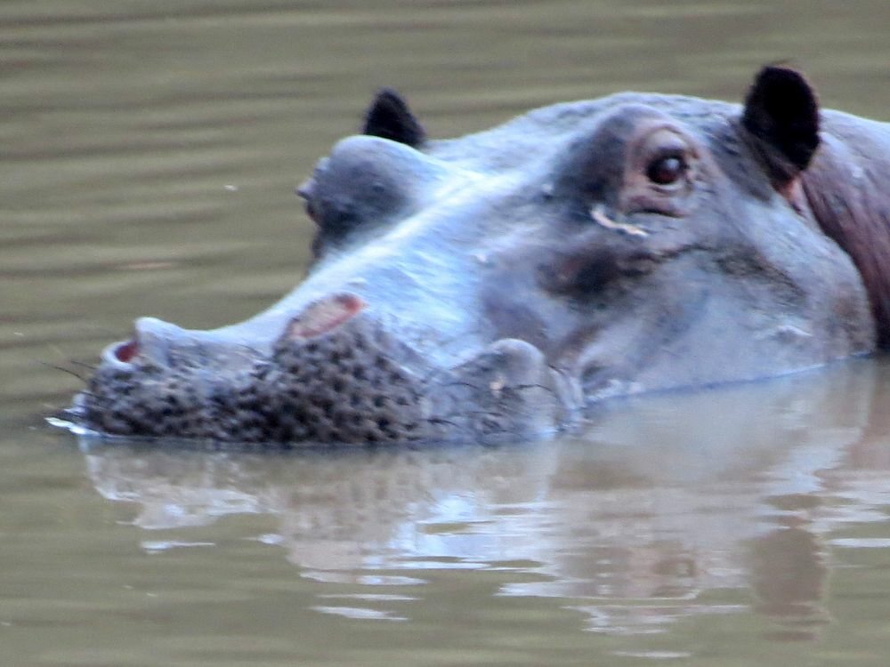 Click to See Next Image