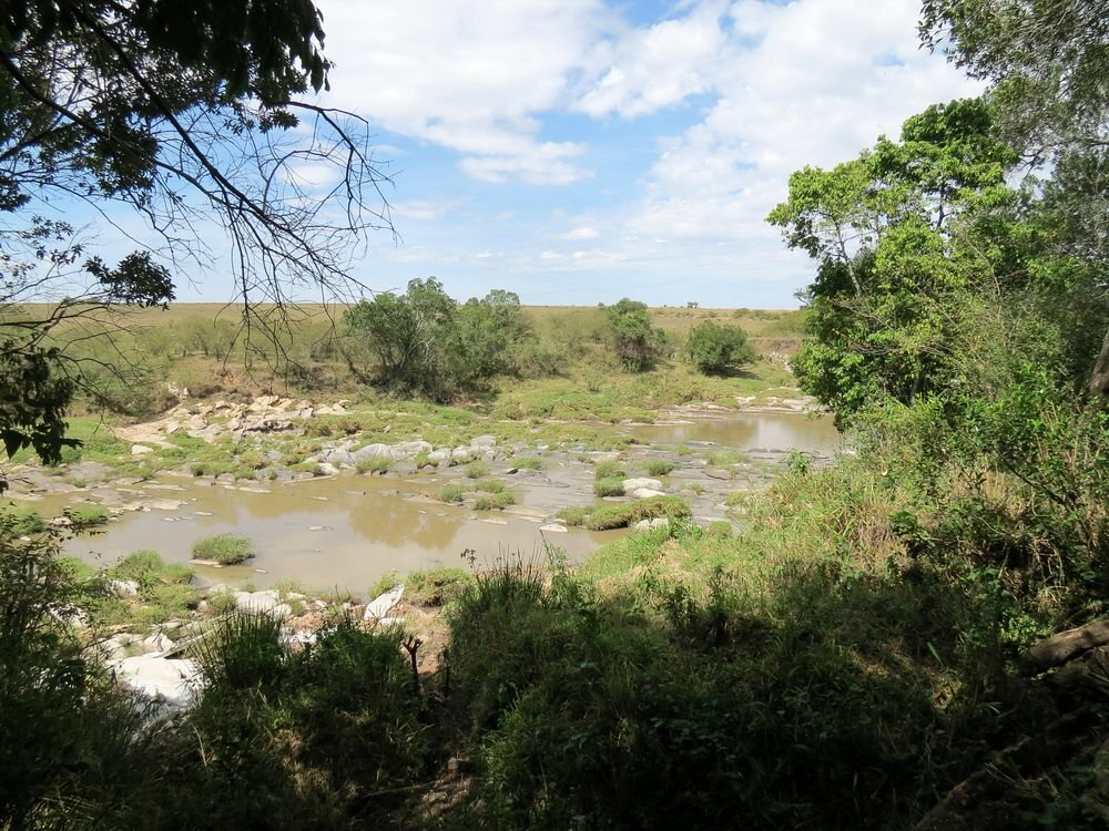 Click to See Next Image