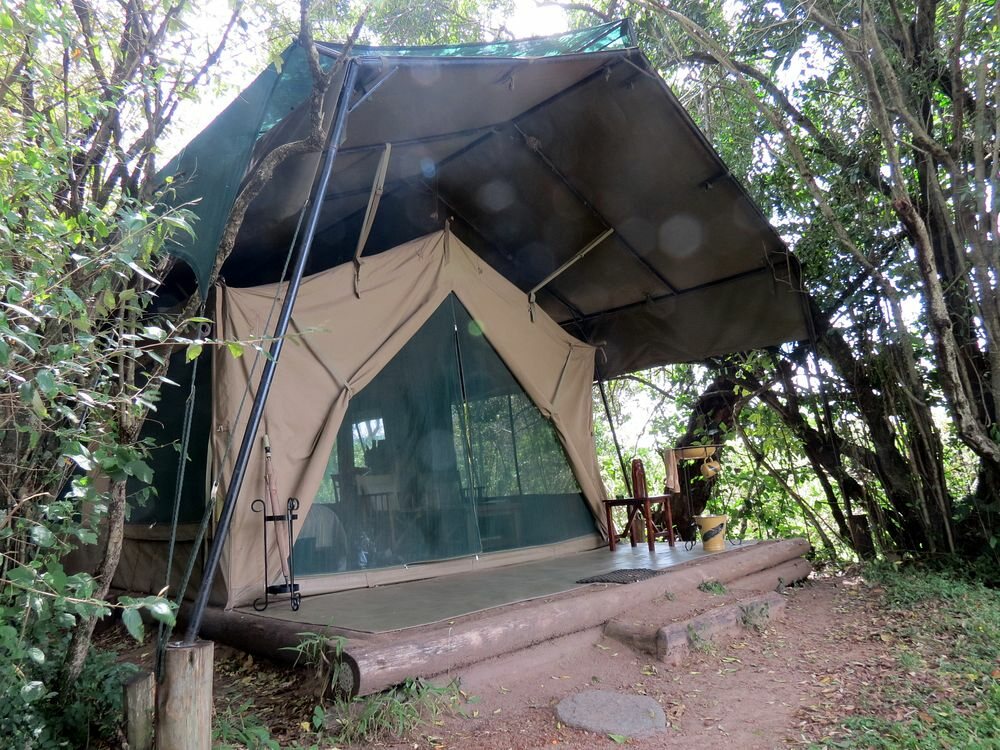 Click to See Next Image