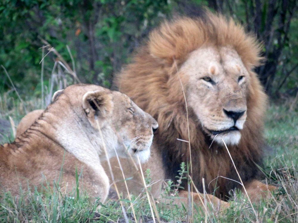 Click to See Next Image