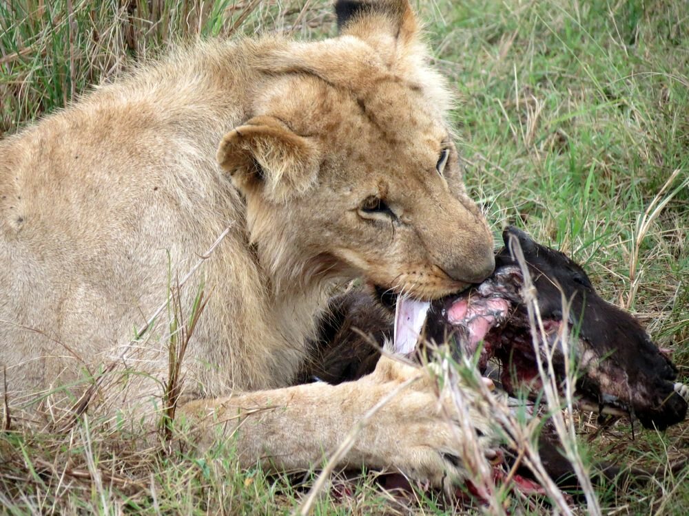 Click to See Next Image