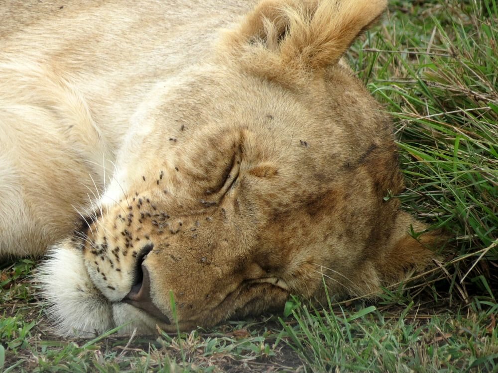 Click to See Next Image