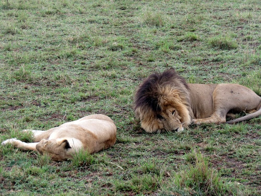 Click to See Next Image