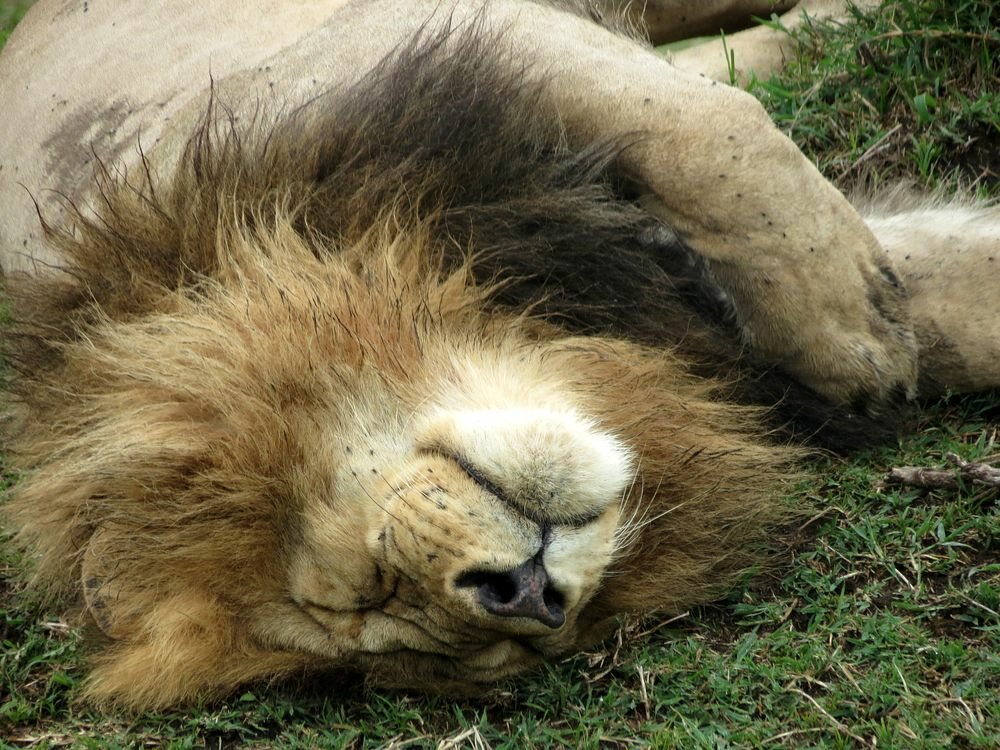 Click to See Next Image