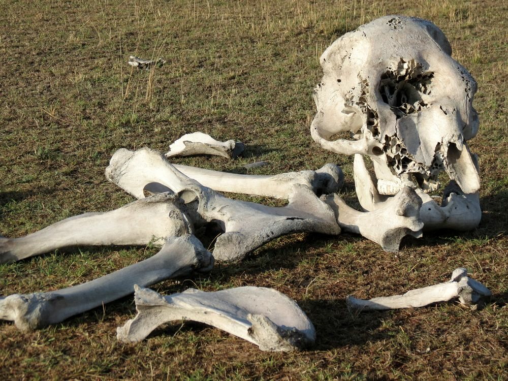 Click to See Next Image