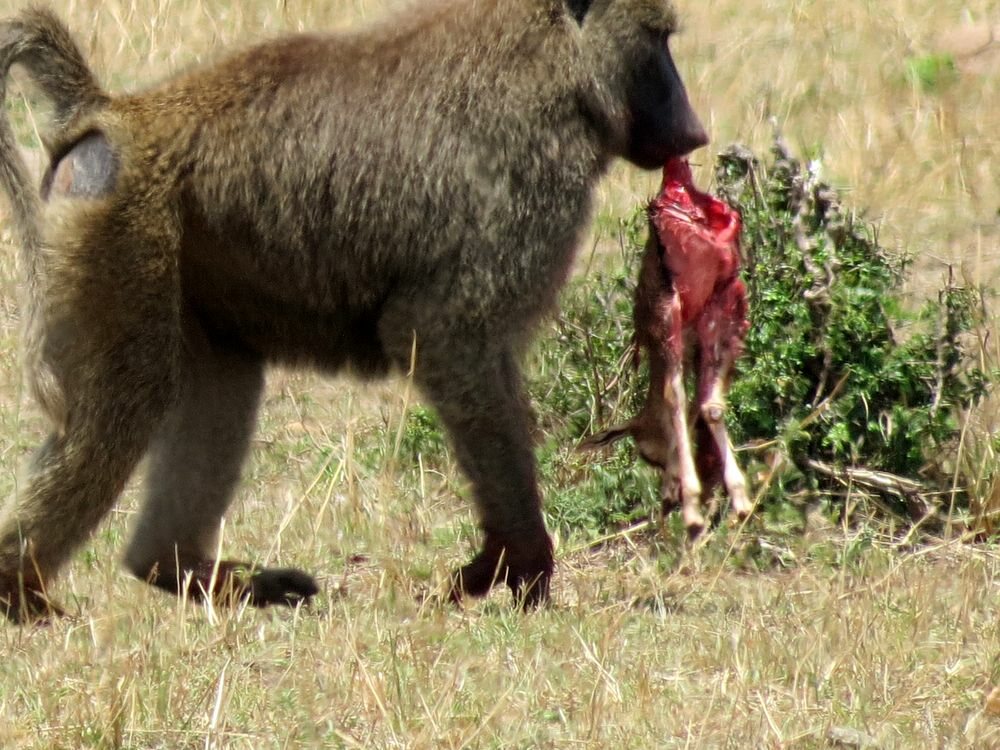 Click to See Next Image