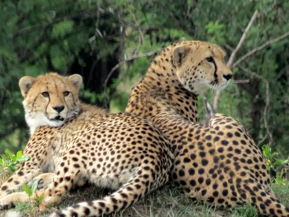 Click to See Next Image