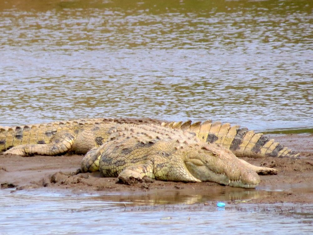 Click to See Next Image